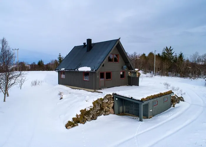 Bestefarhaugen - The Cozy House On The Hill - With A Dome Hébergement de vacances