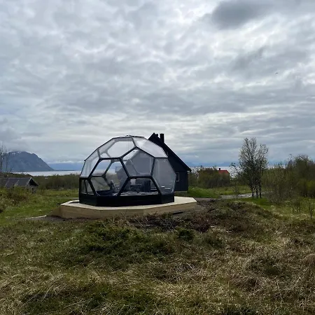 Dom wakacyjny Bestefarhaugen - The Cozy House On The Hill - With A Dome Bo (Nordland)